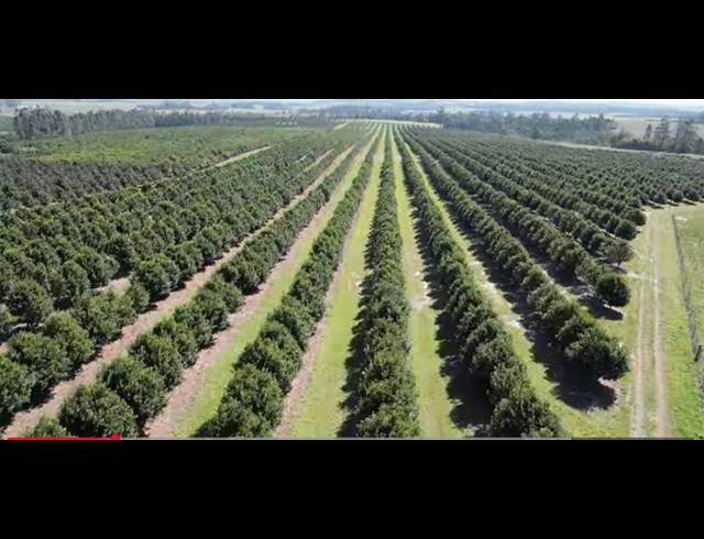FARM FOR SALE IN PADDOCK